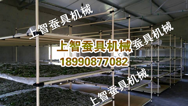 151270128394190234.jpg 蚕台.jpg