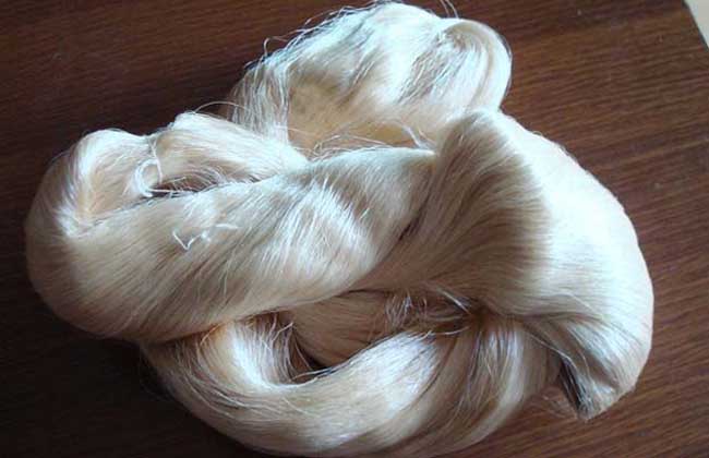 蚕丝.jpg 蚕丝.jpg